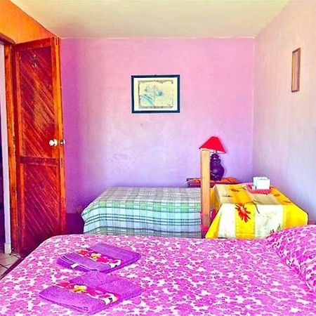 Casa De La Vista Hotel San Cristóbal de Las Casas Eksteriør billede